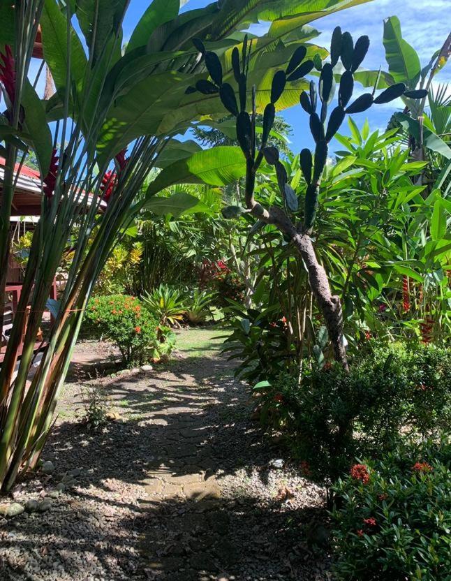 Casa Mambo Bed & Breakfast Cahuita Exterior photo