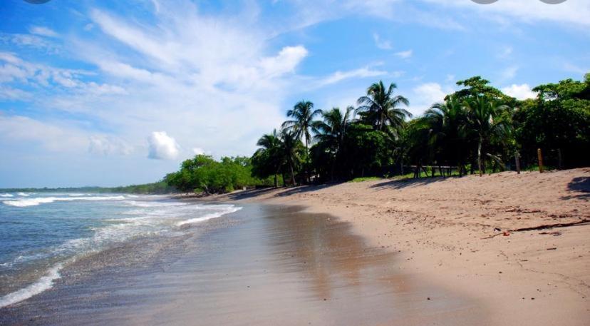 Casa Mambo Bed & Breakfast Cahuita Exterior photo